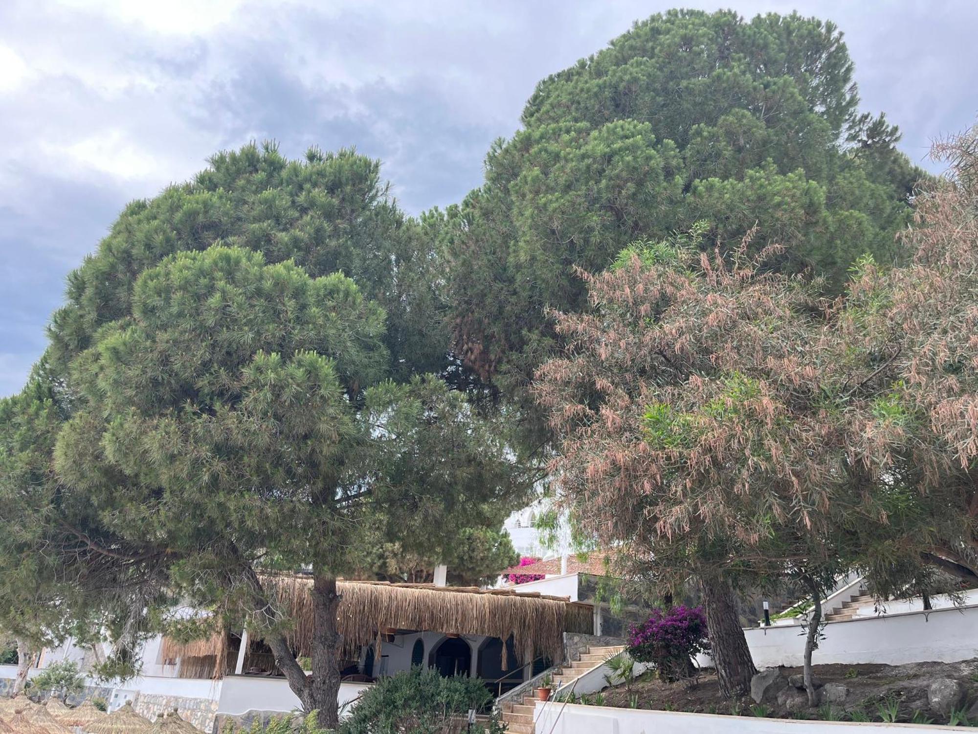 Holiday Inn Resort Bodrum By Ihg Exterior foto